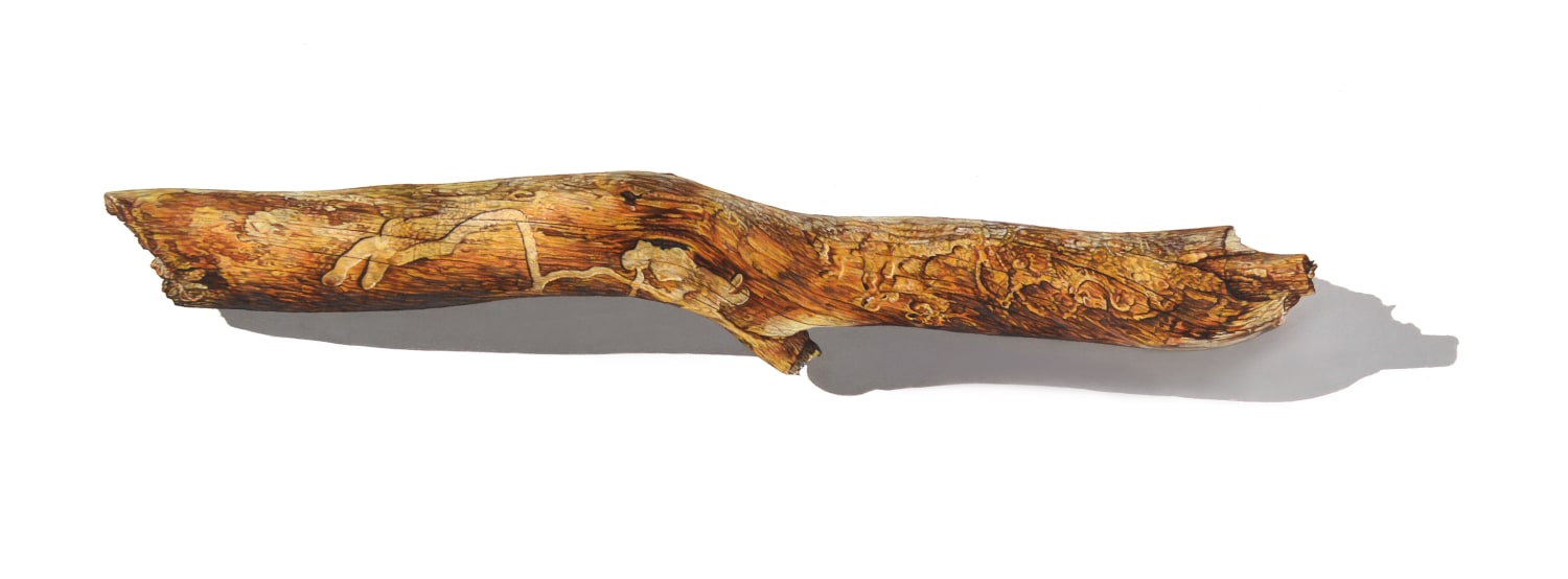 David Morrison, Stick Series No. 4, 2015