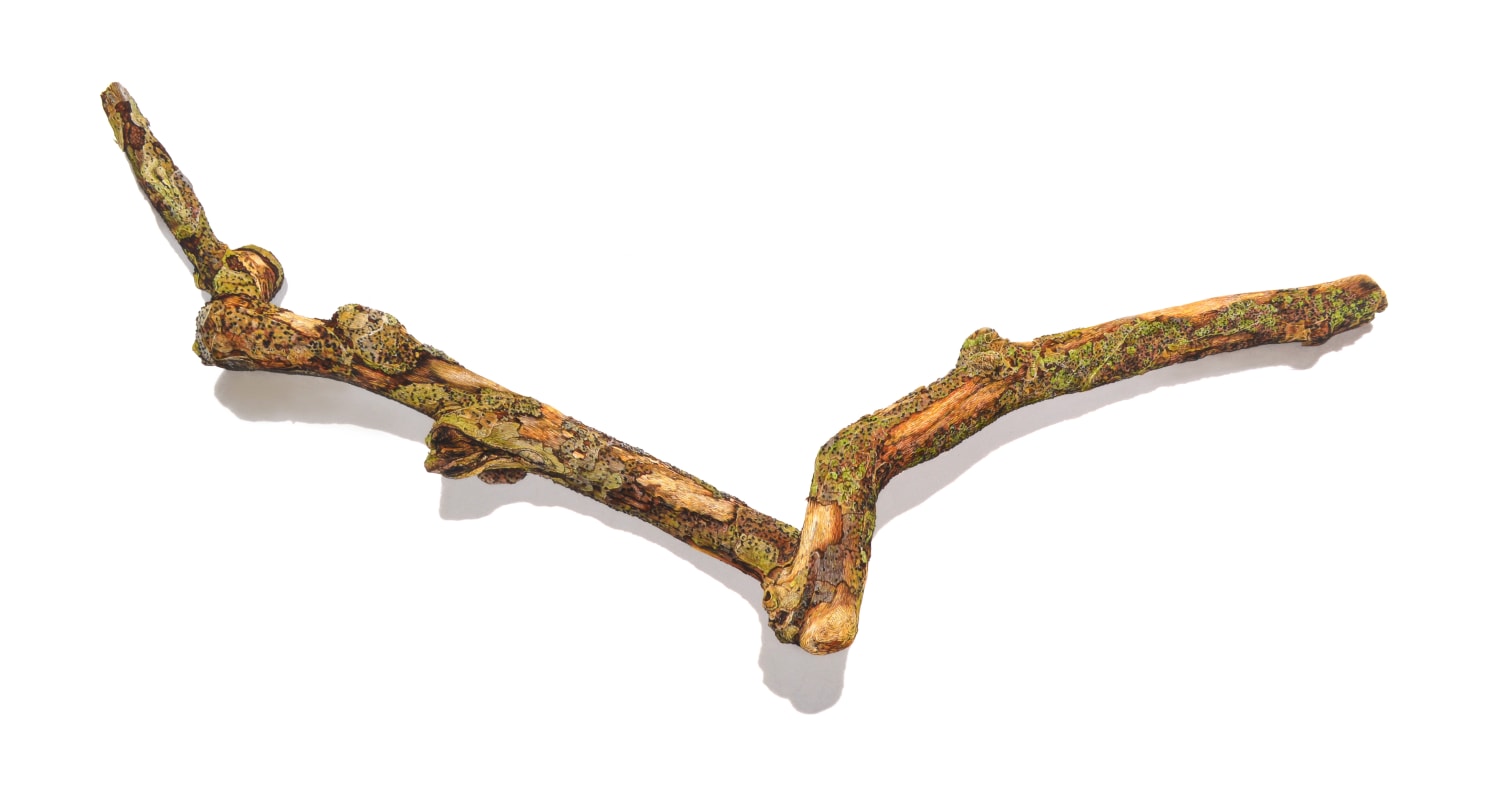 David Morrison, Stick Series No. 8, 2015