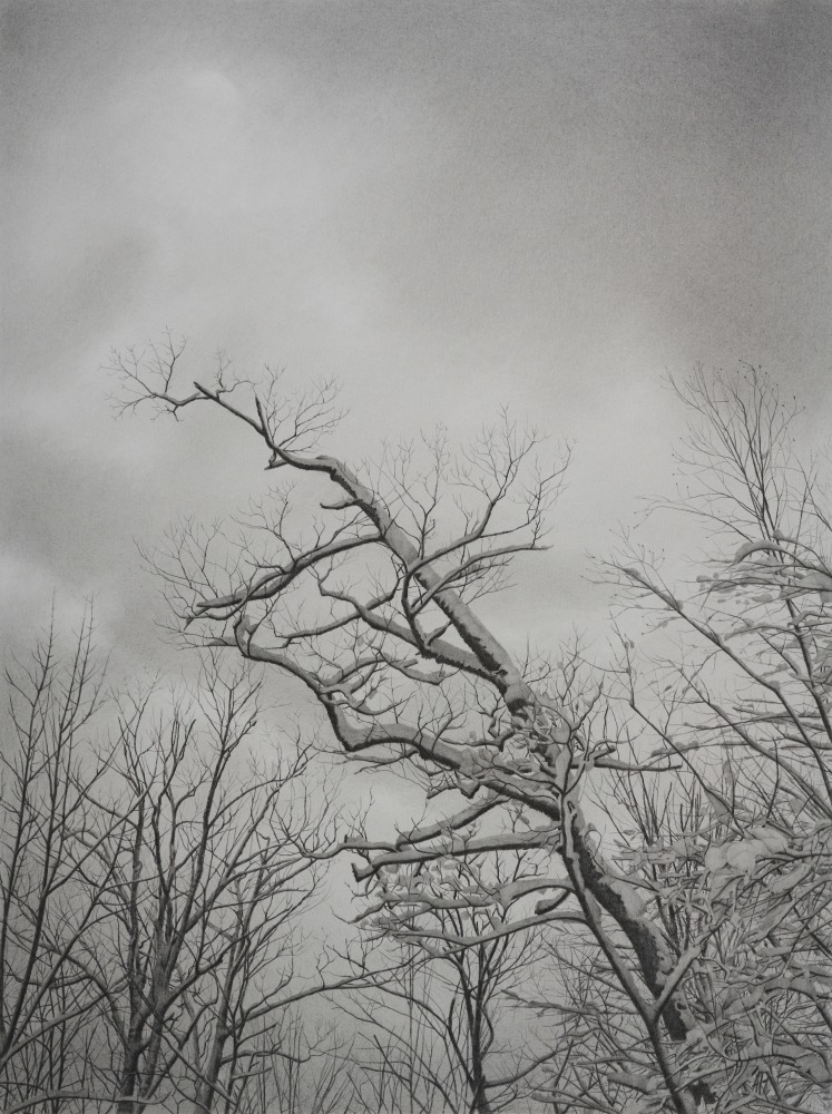 Wintry Trees 5