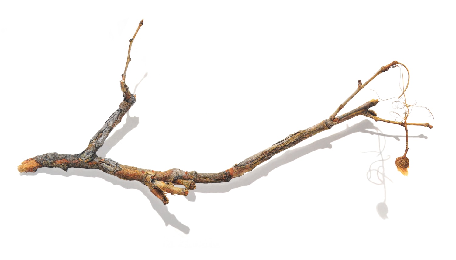 David Morrison, Stick Series No. 7, 2015