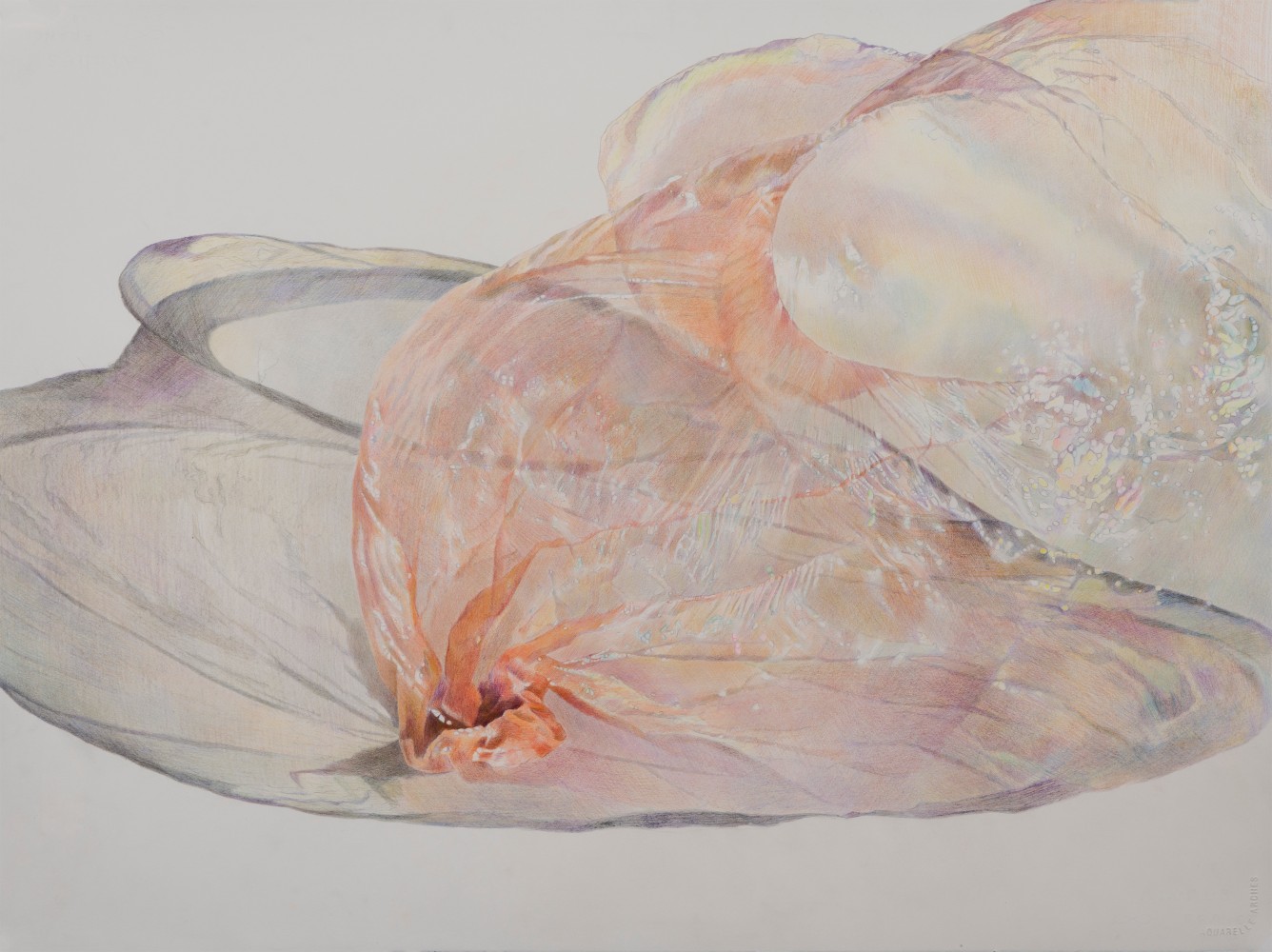 Plastic Red, colored pencil on paper, 22 1/2 x 30 in, JR035