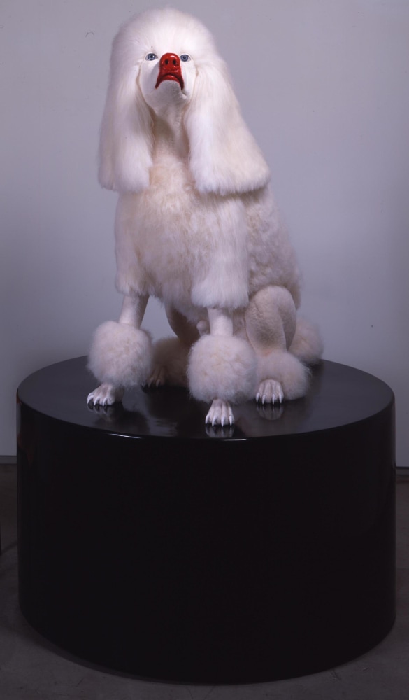 POODLE