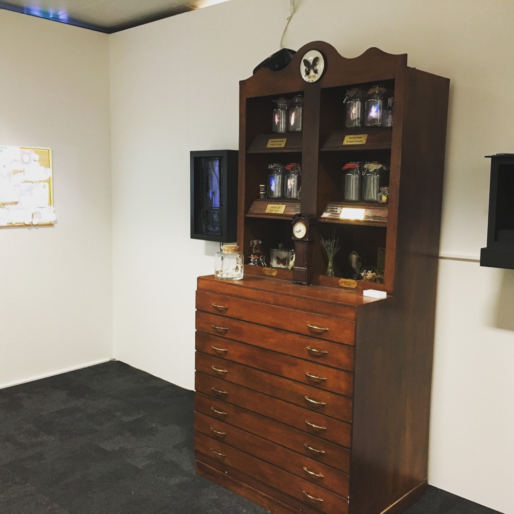 Davy &amp;amp; Kristin McGuire, Sprite Symphony