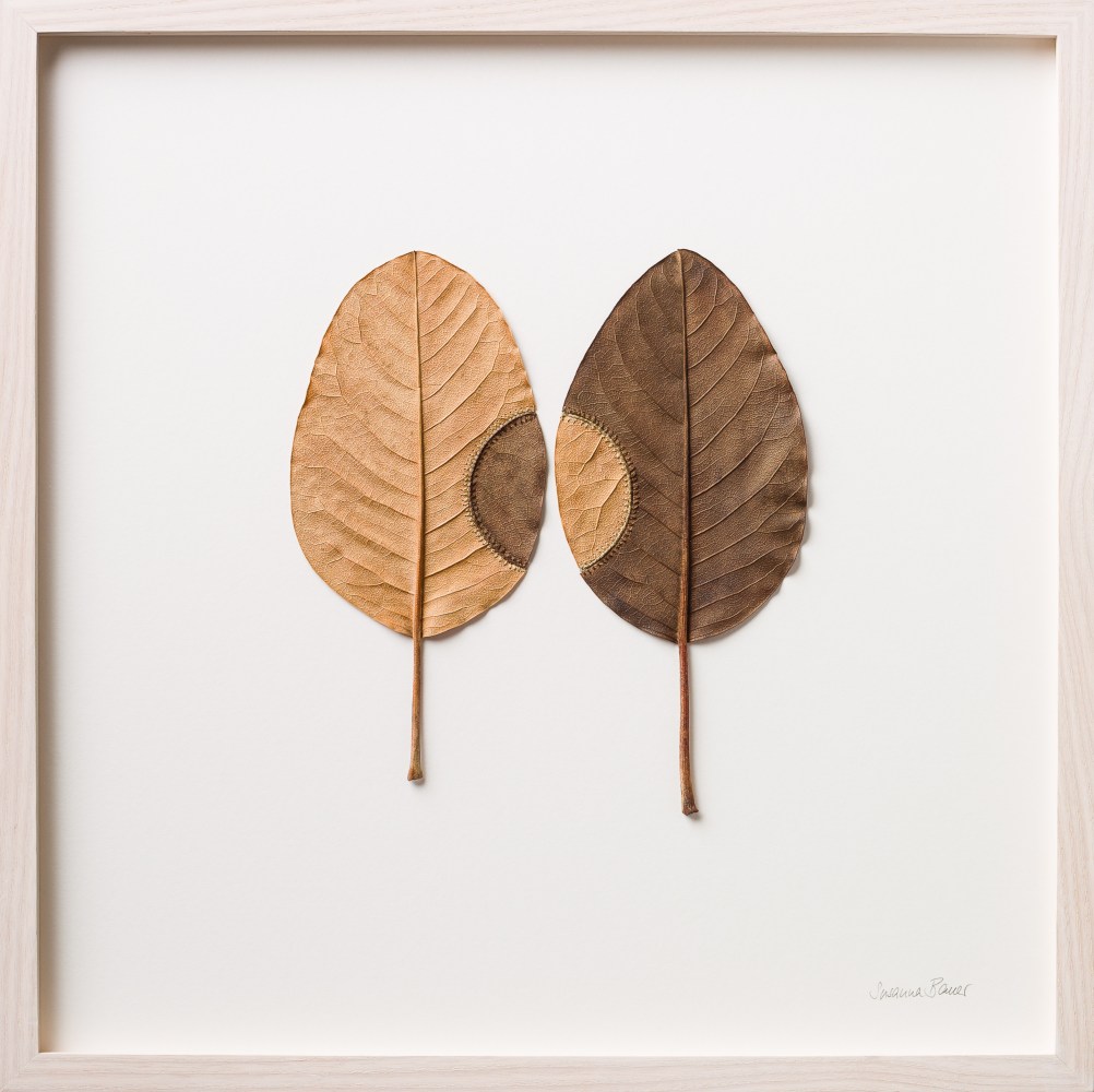 Susanna Bauer, Trans-Plant No 19