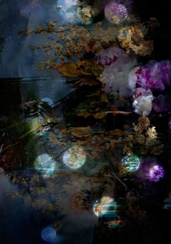 Isabelle Menin, Petites Natures #16