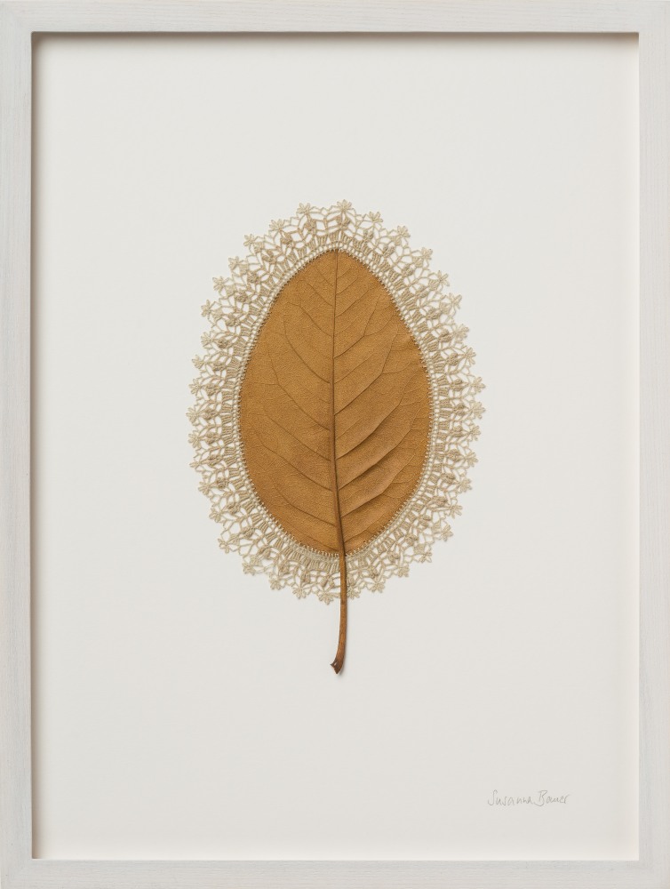 Susanna Bauer, Radiance