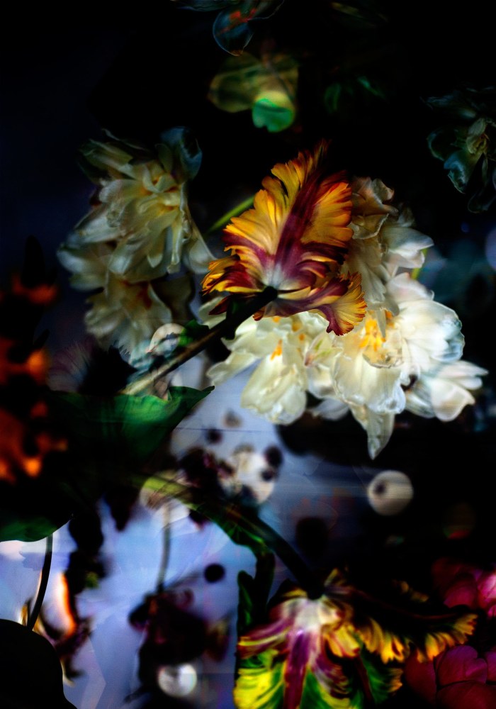 Isabelle Menin, Petites Natures #8