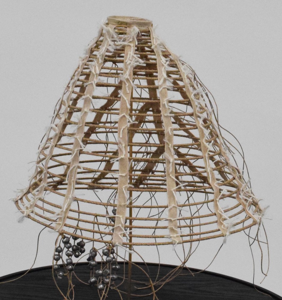 Holly Laws, Cage Crinoline 1865