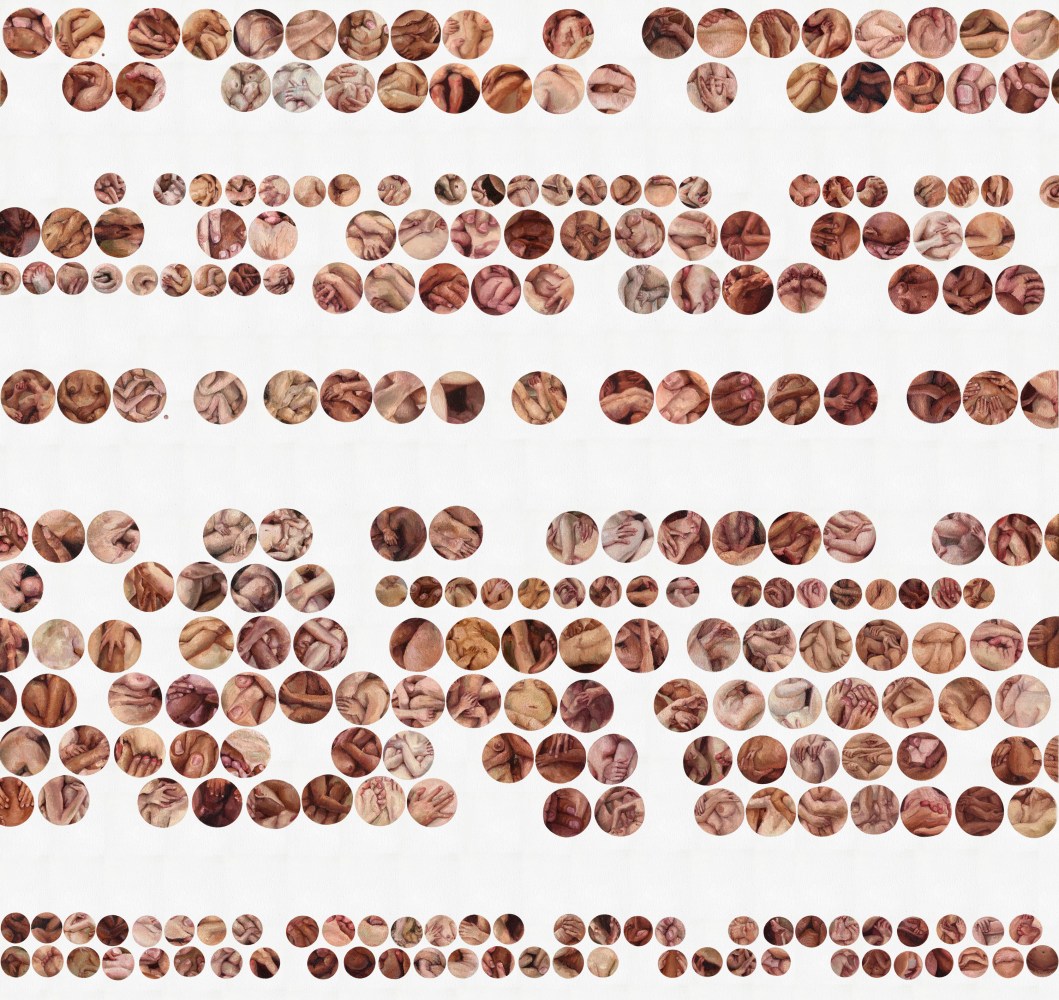 Diana Schmertz, Irationnal Constants