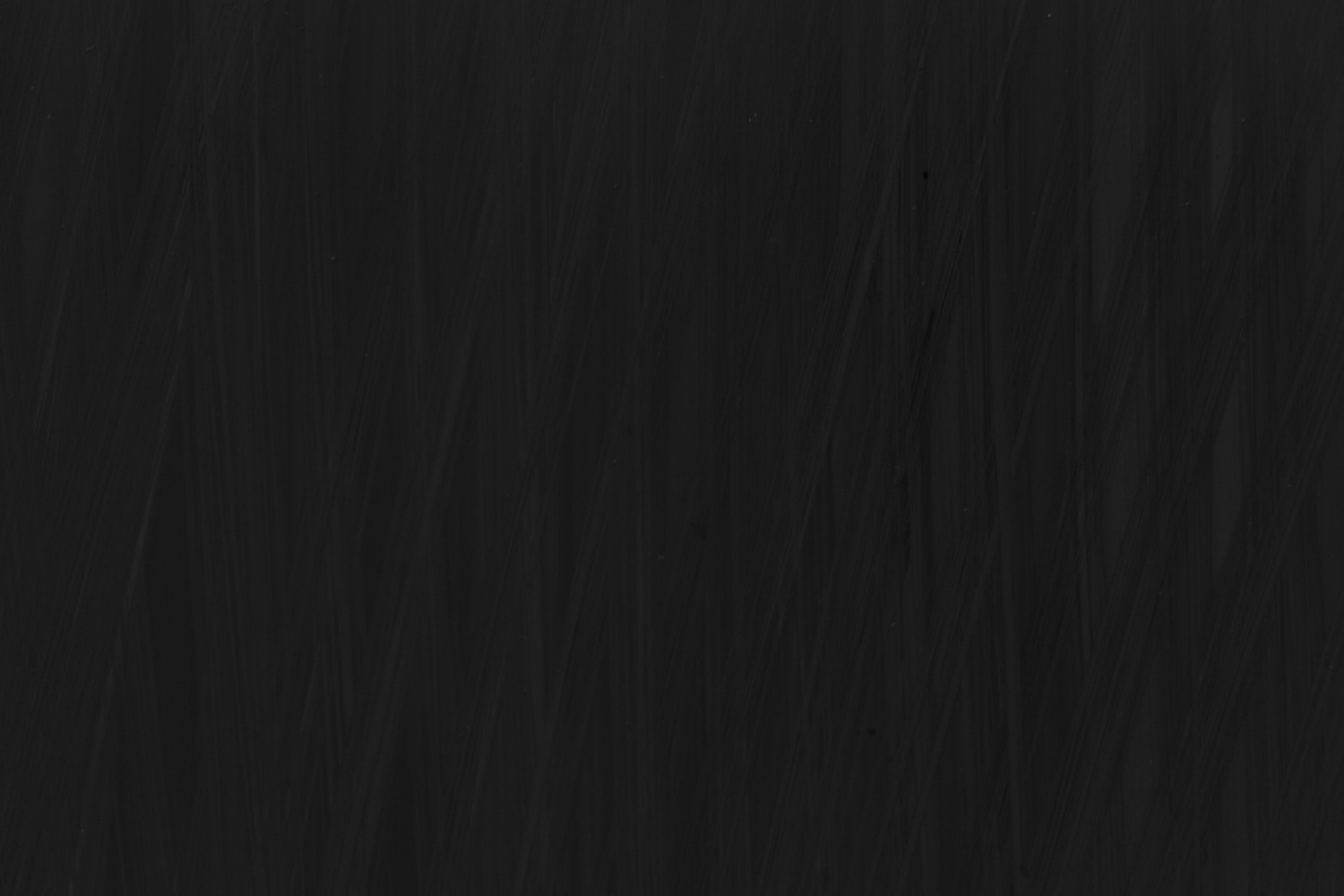 Patrick Carrara, A. 164-014 &nbsp;Detail