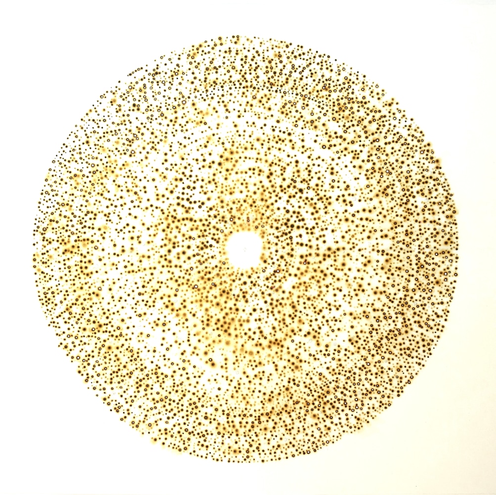 Nathalie Palomino, &ldquo;ETY #4&rdquo;