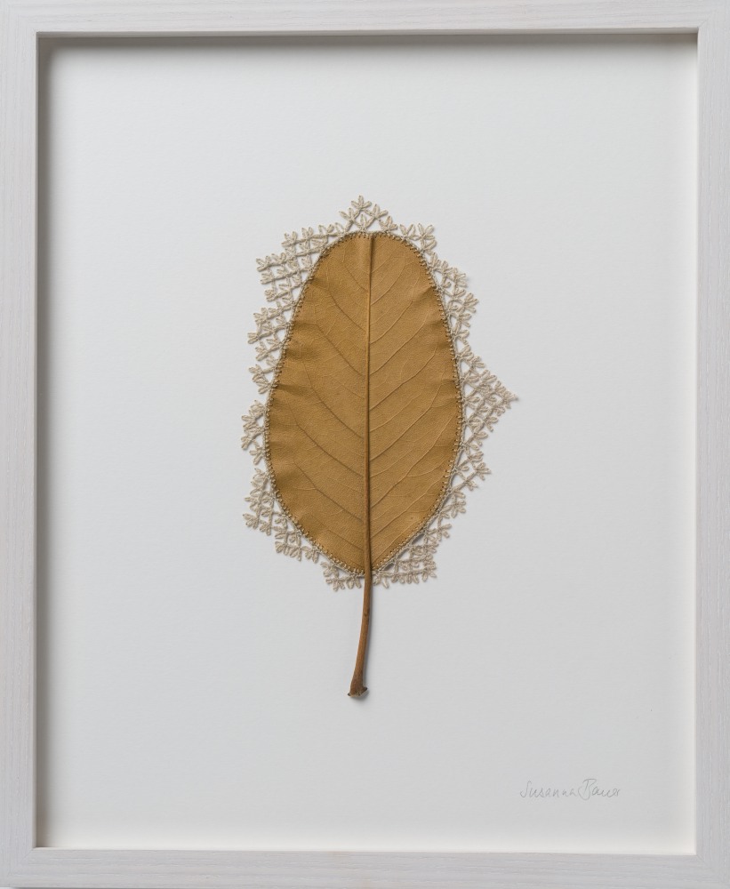 Susanna Bauer, Adornment XVIII