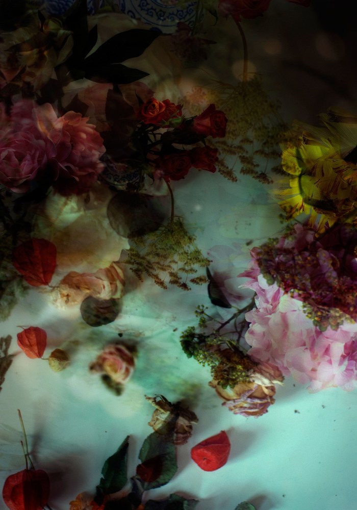 Isabelle Menin, Petites Natures #12