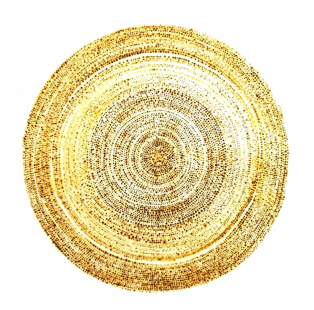 Nathalie Palomino, “ETY #5”