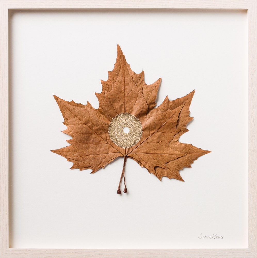 Susanna Bauer, Centered