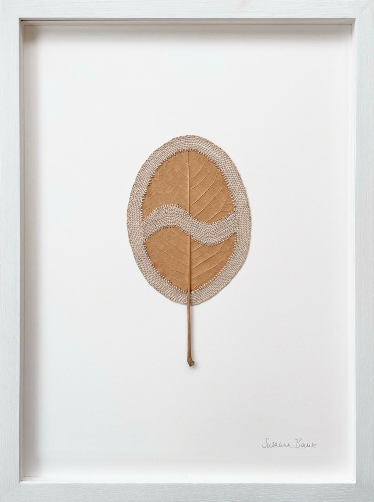 Susanna Bauer, Opening