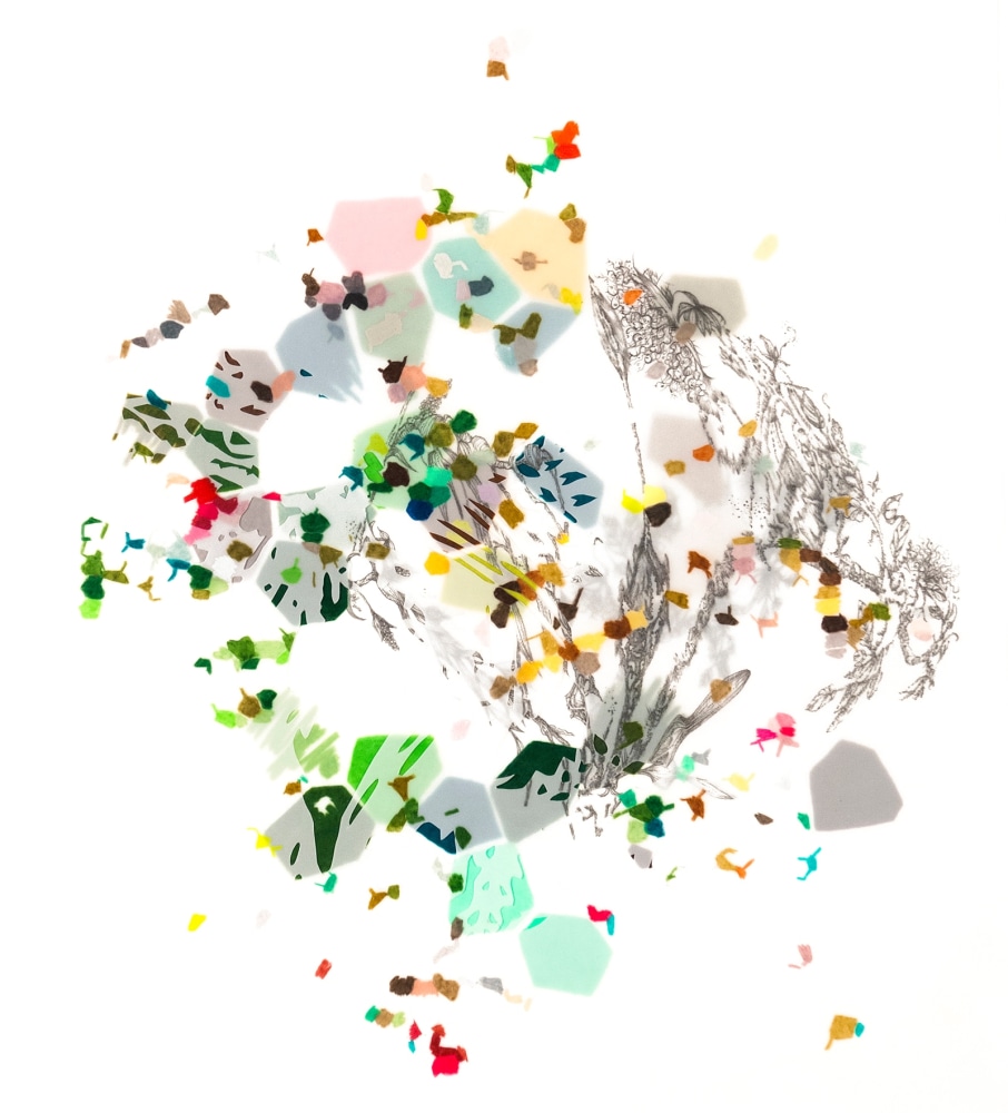 Leigh Anne Lester, Sistematicsidle