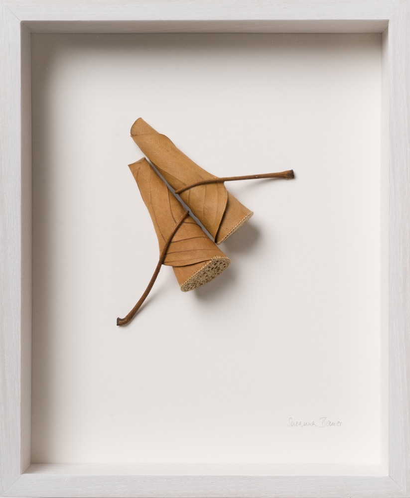 Susanna Bauer, Side by Side