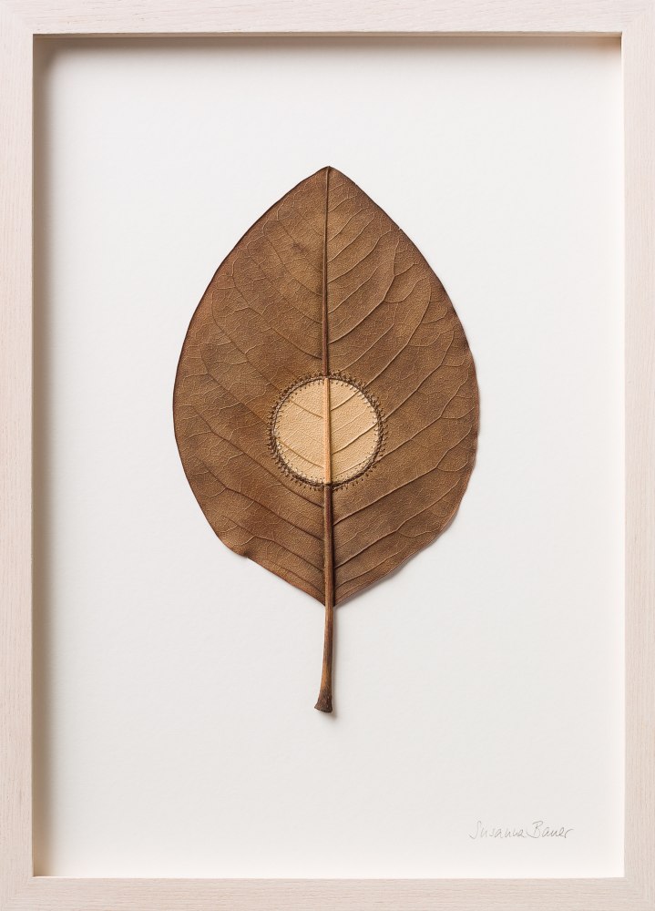 Susanna Bauer, Inner Circle