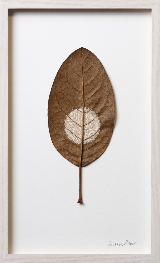 Susanna Bauer, Moon VIII