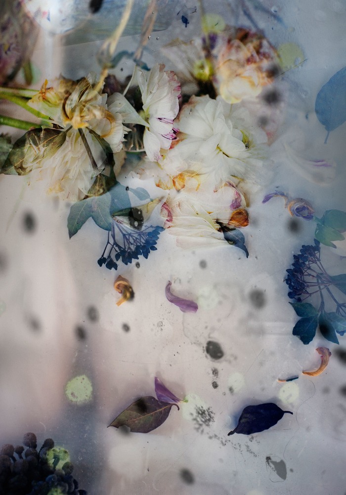 Isabelle Menin, Petites Natures #17