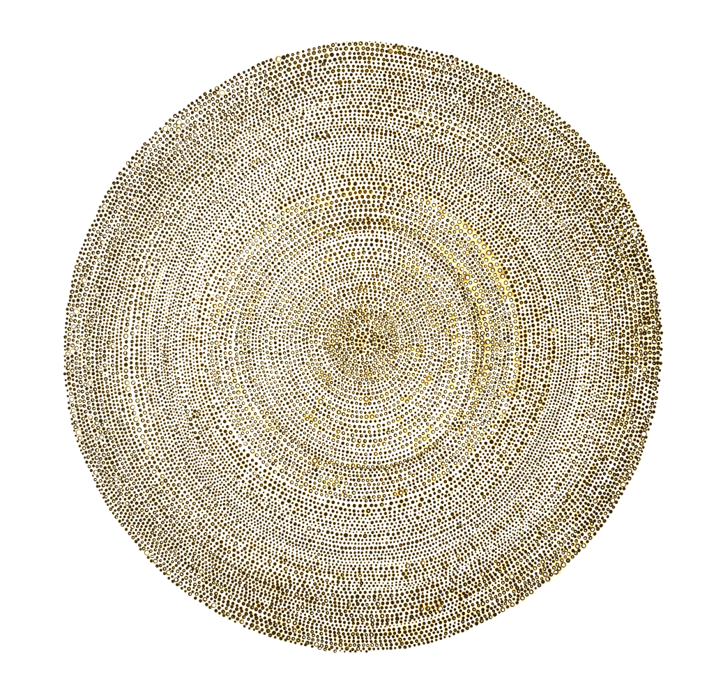 Nathalie Palomino, “ETY #8”