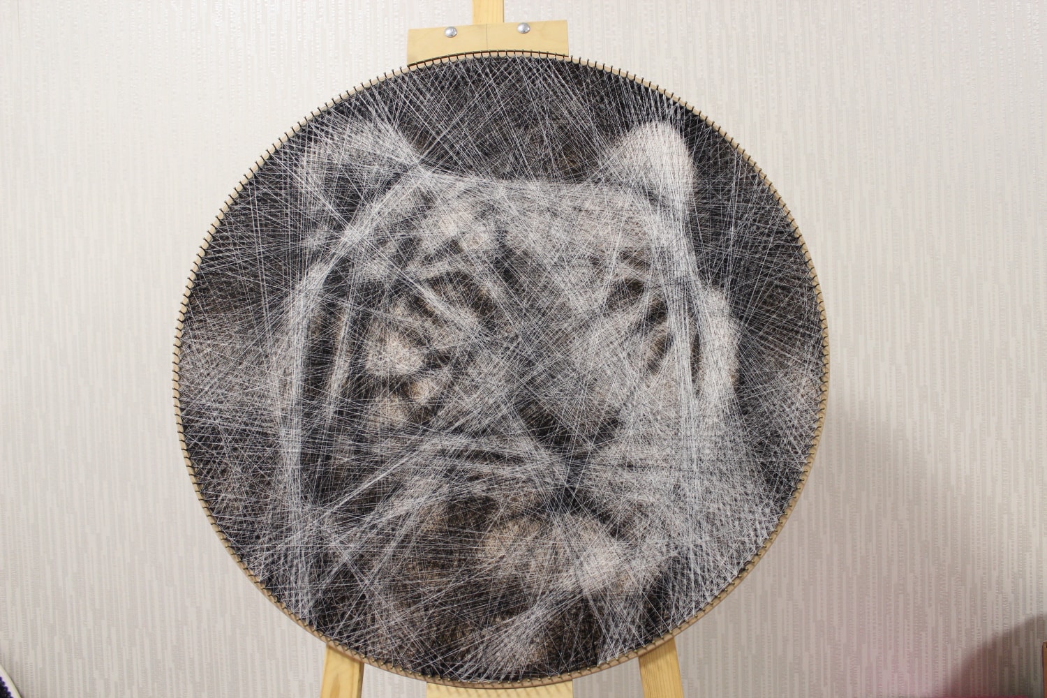 Ani Abakumova, B &amp;amp; W Tiger