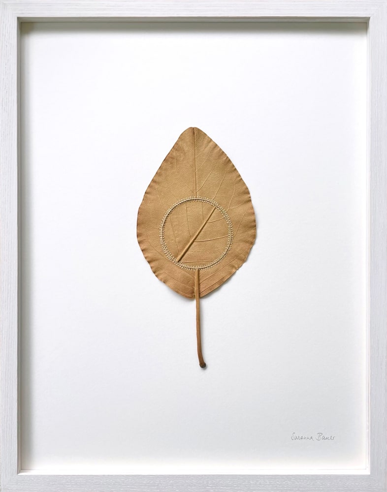 Susanna Bauer, Navigation XVII