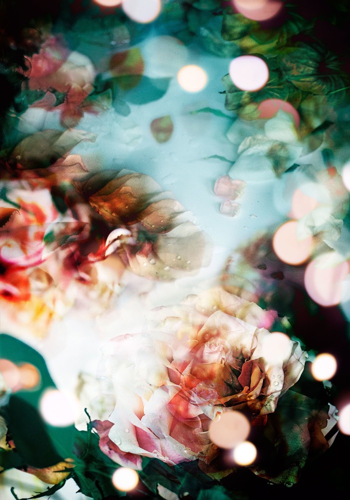 Isabelle Menin, Petites Natures #9