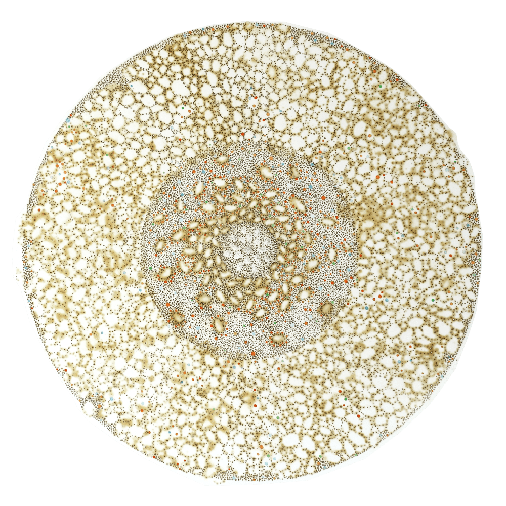 Nathalie Palomino, &ldquo;CDV #14&rdquo;