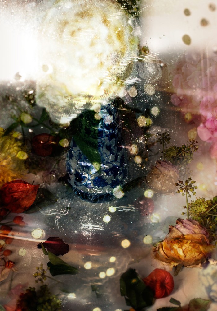 Isabelle Menin, Petites Natures #20