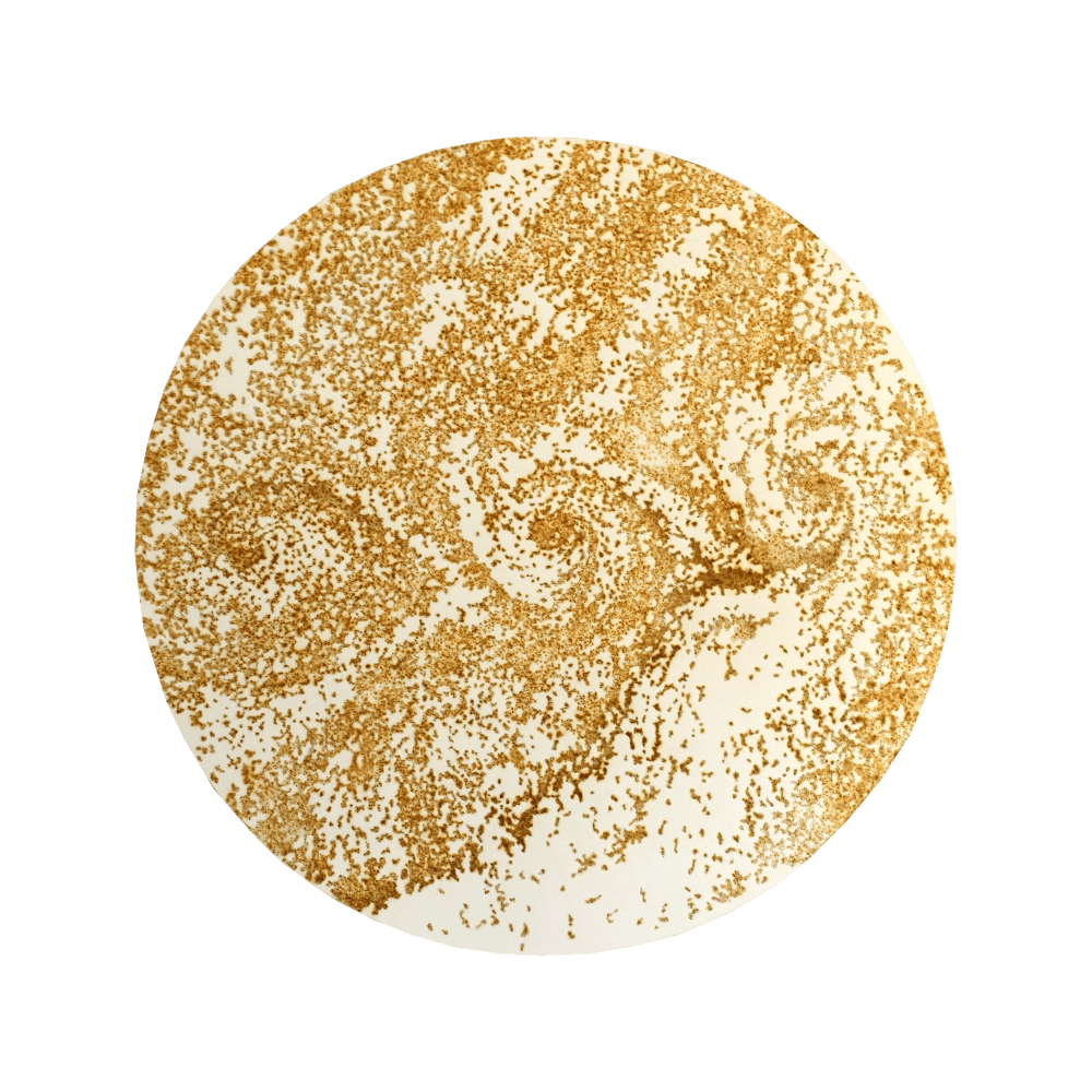 Nathalie Palomino, “Tourbillon”