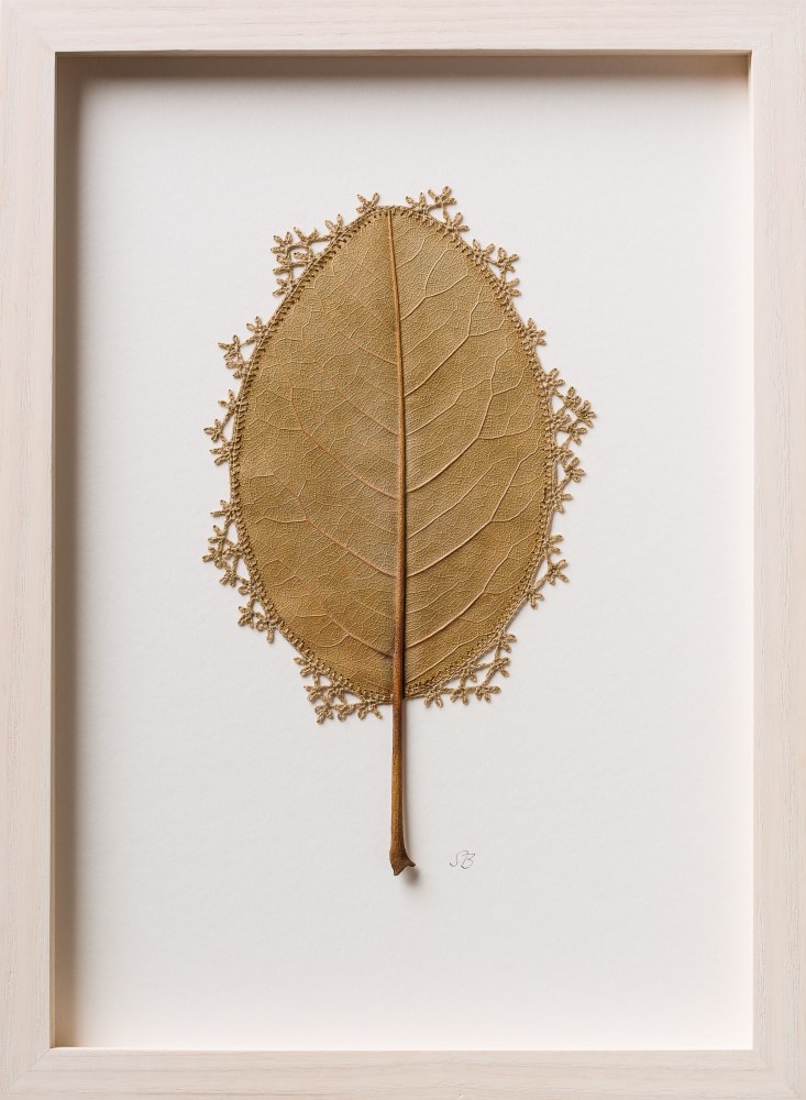 Susanna Bauer, Adornment VI