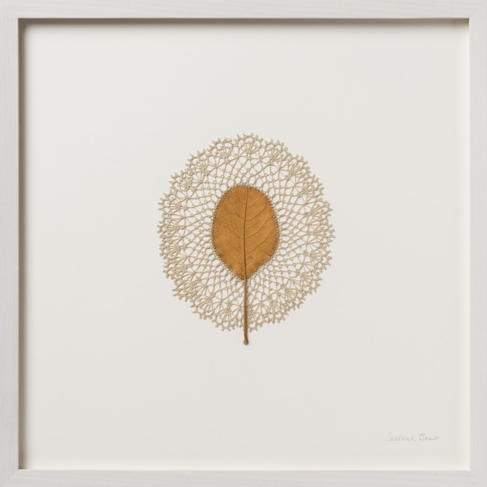 Susanna Bauer, Light