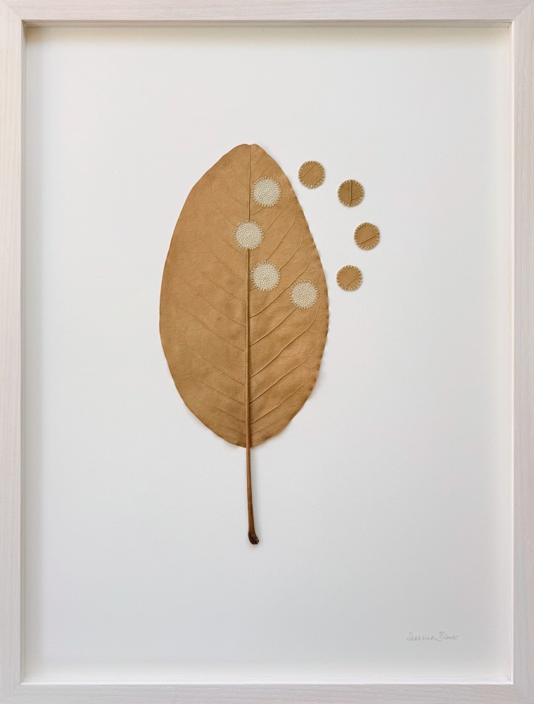 Susanna Bauer, Thoughts