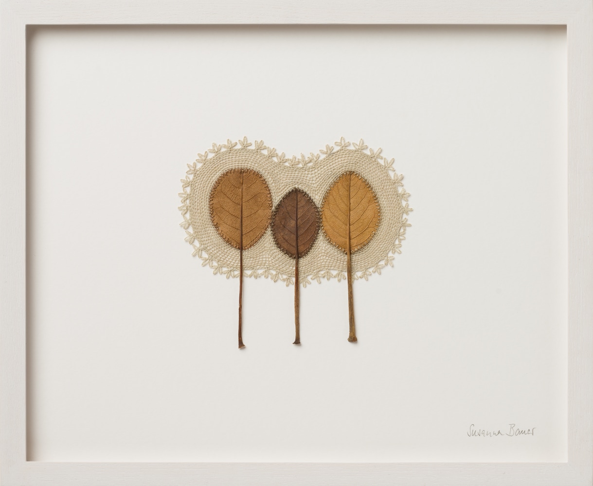 Susanna Bauer, Union IV