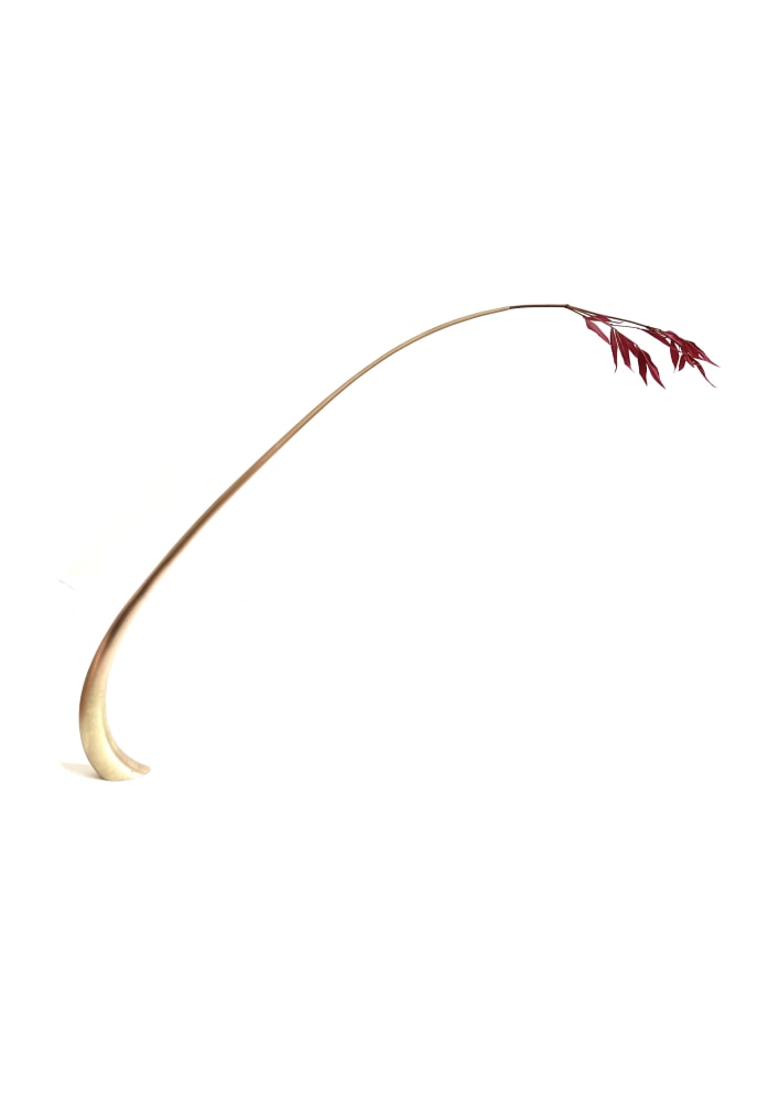 Mylinh Nguyen, Vase 4