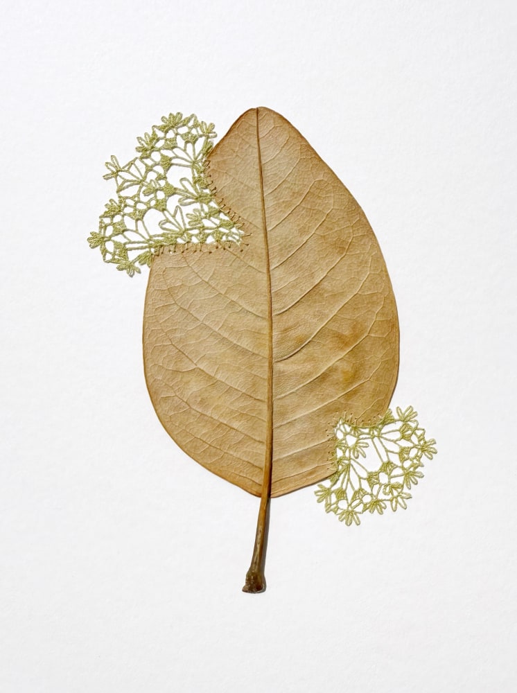 Susanna Bauer, Thrive IV