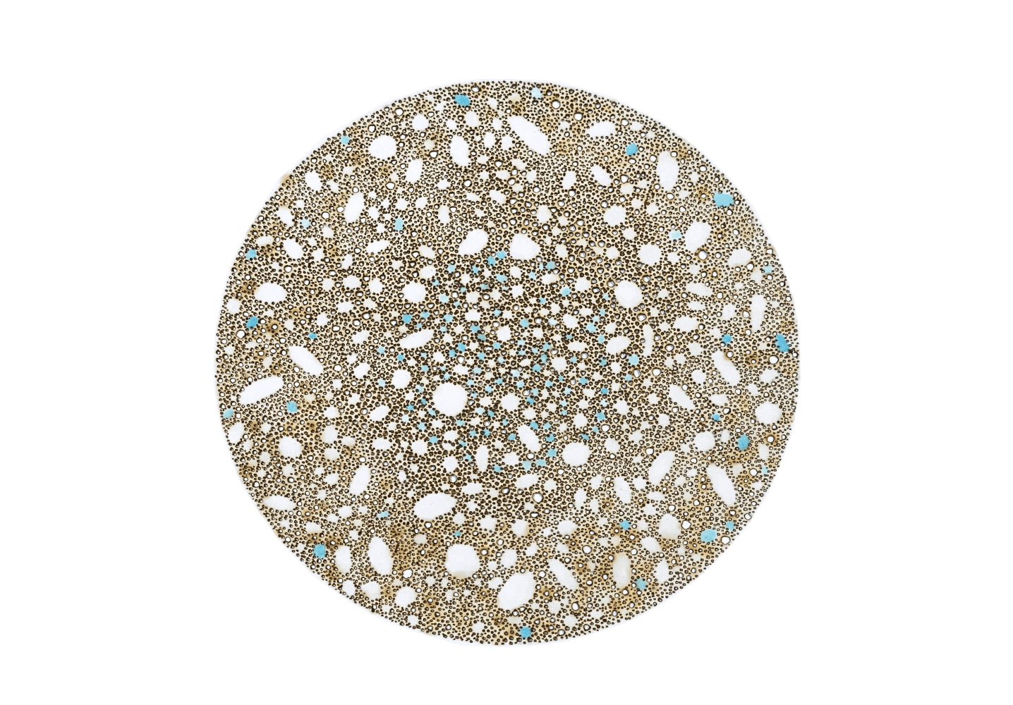 Nathalie Palomino, “CDV #19”