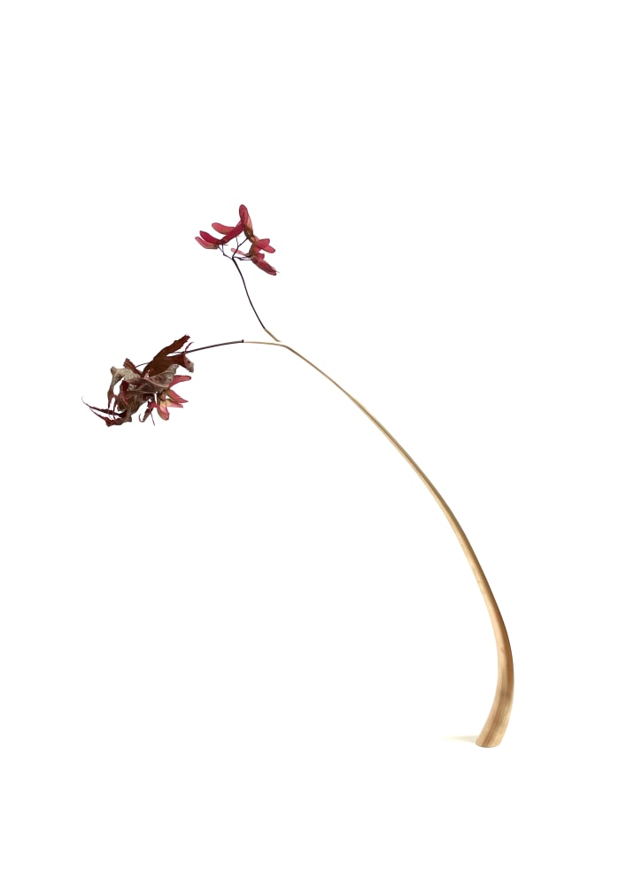 Mylinh Nguyen, Vase 6