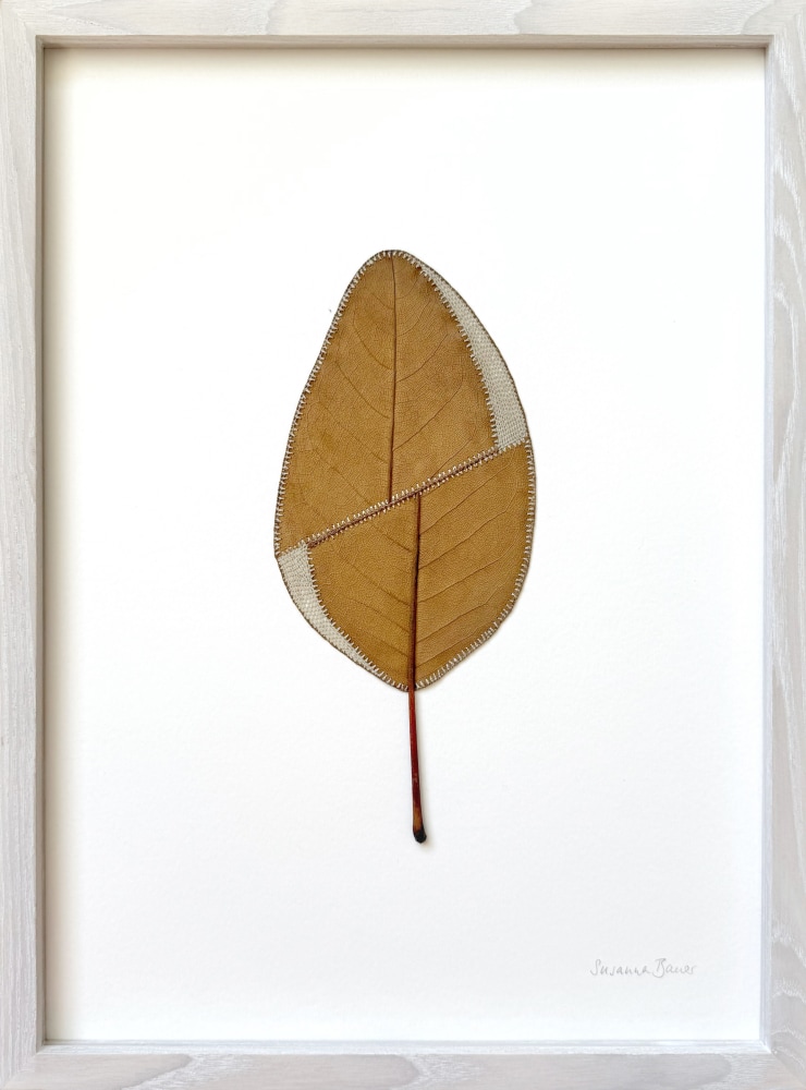 Susanna Bauer, Adjustment III