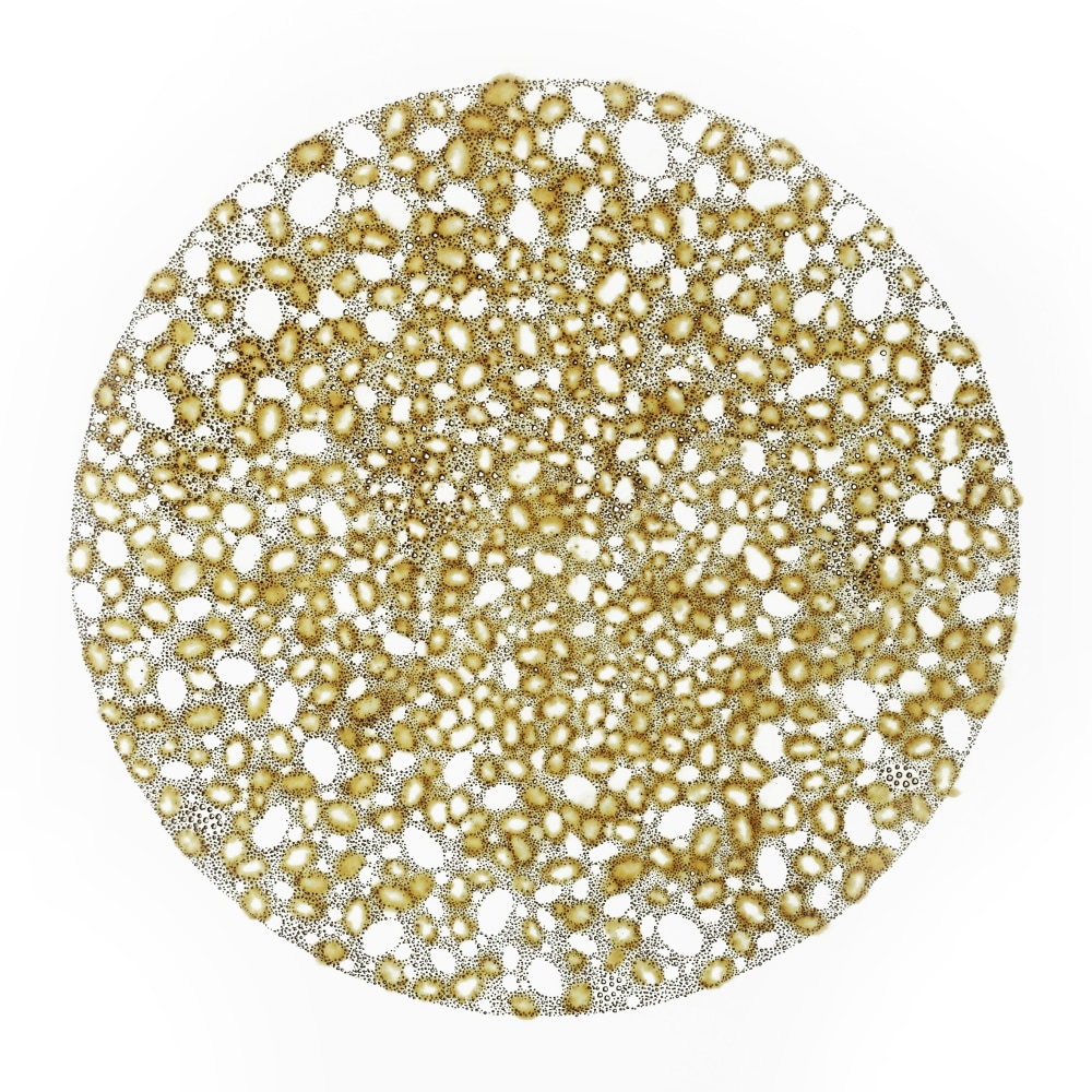 Nathalie Palomino, &ldquo;CDV #4&rdquo;