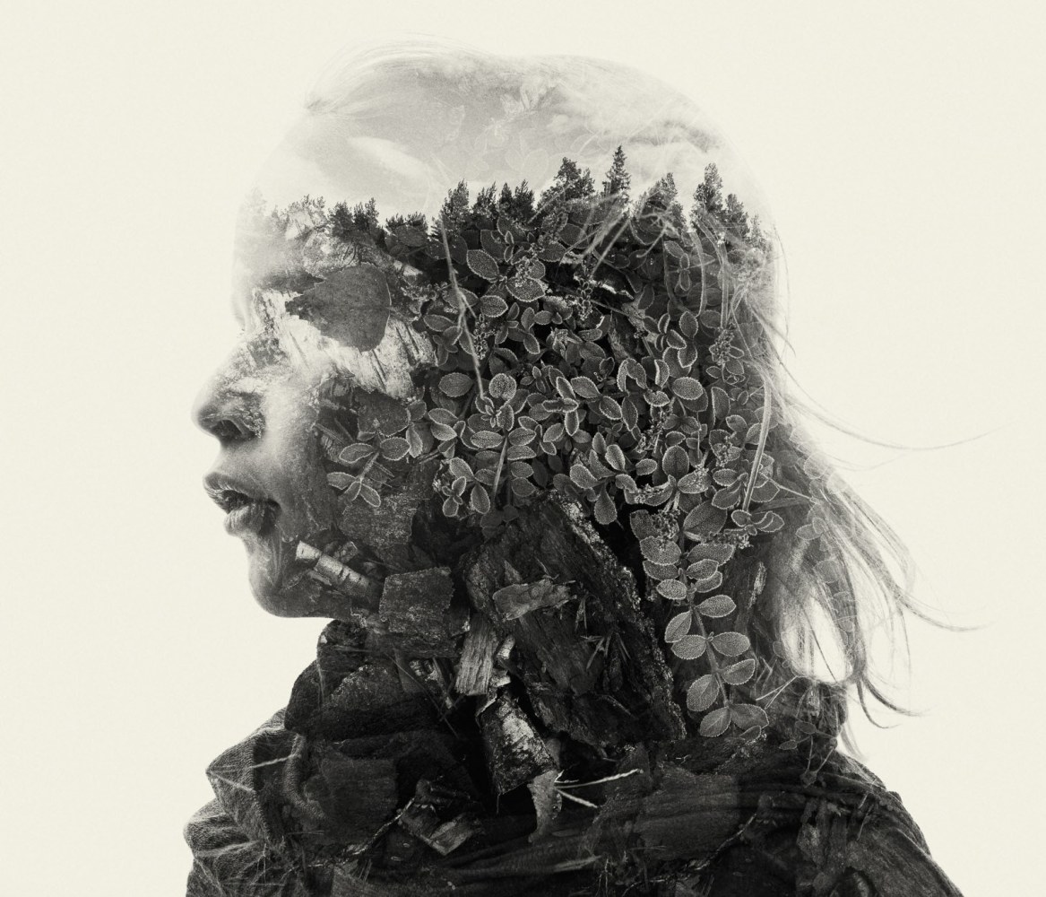 Christoffer Relander, Wildy