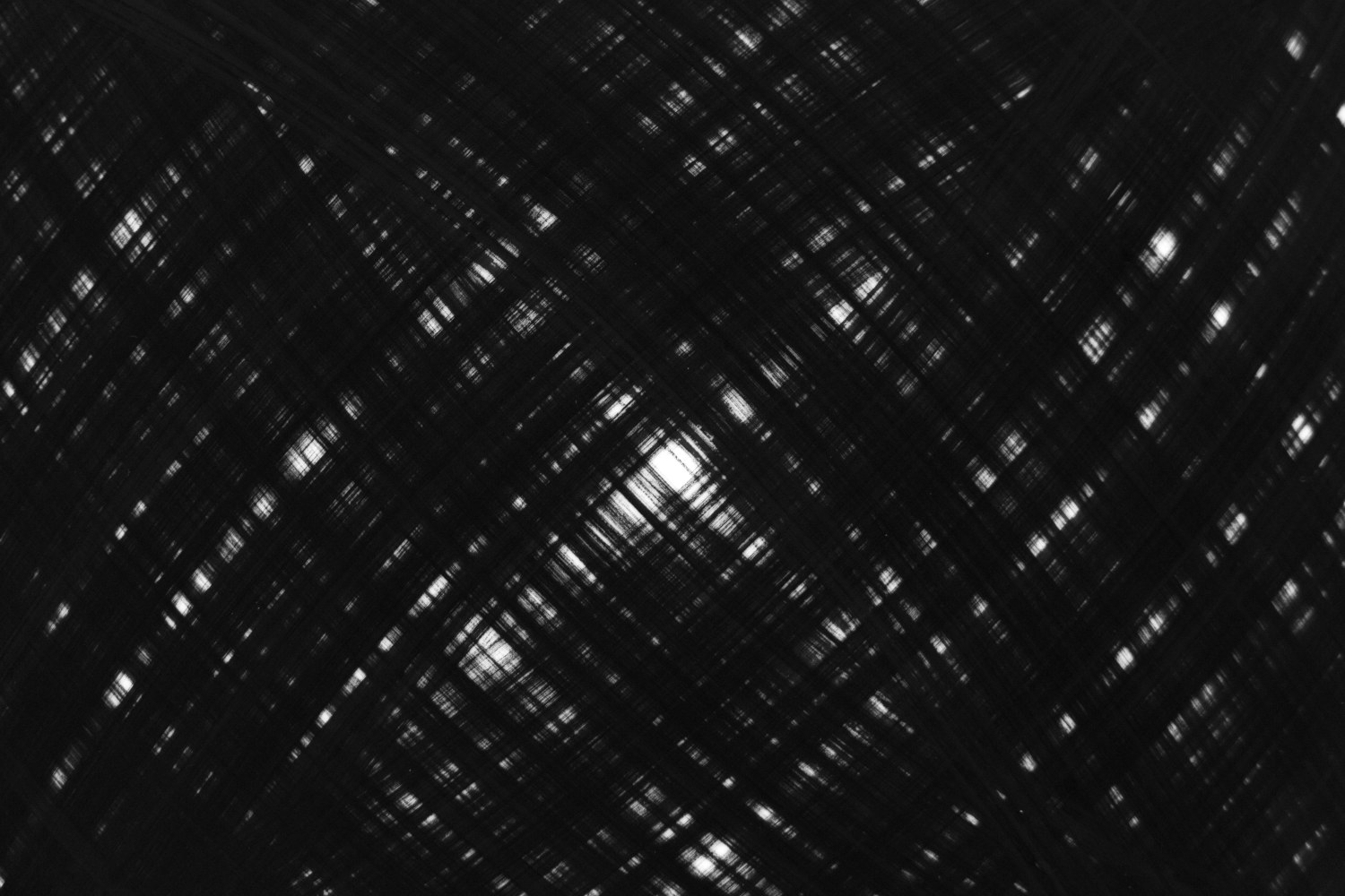 Patrick Carrara, A. 161-014 Detail