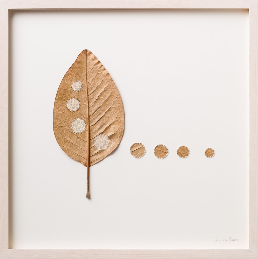 Susanna Bauer, Four Circles