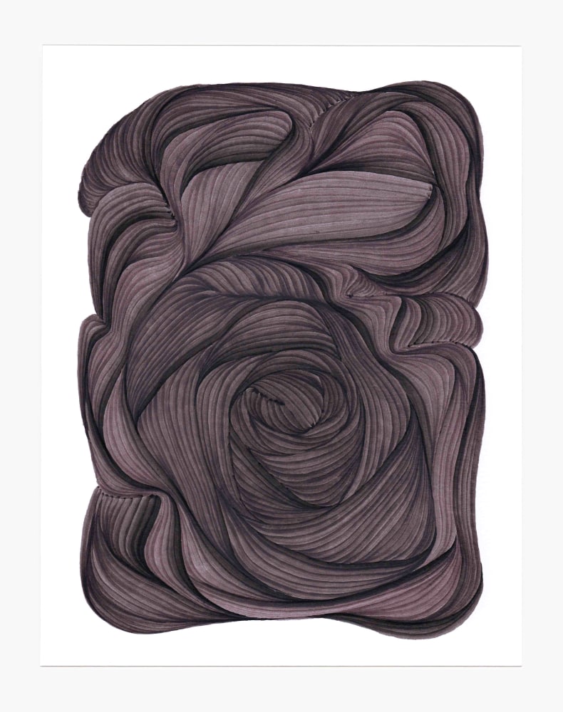 Dana Piazza, Lines 6