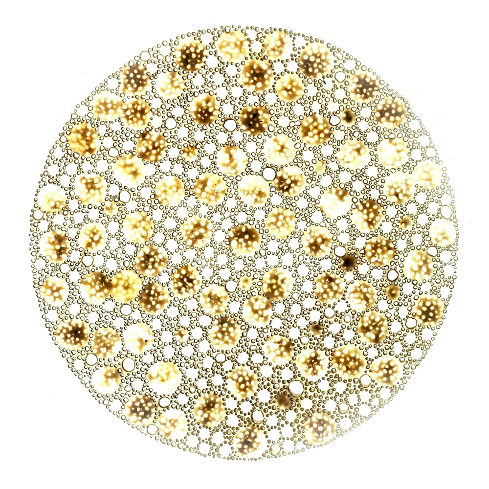 Nathalie Palomino, “CDV #18”