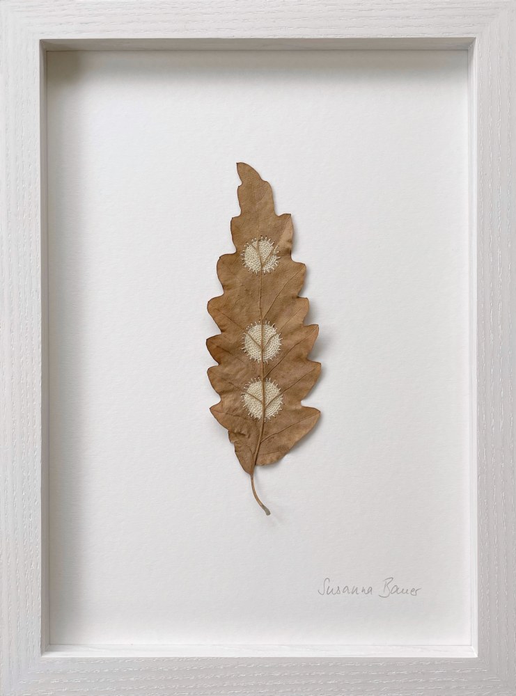 Susanna Bauer, Insights