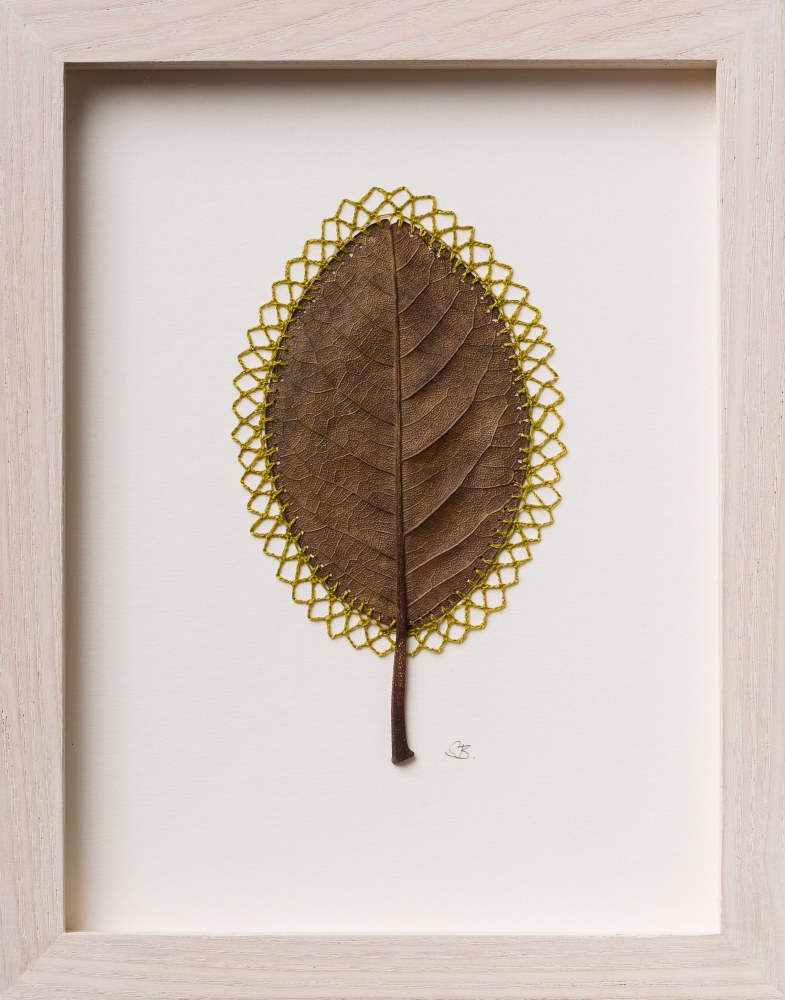 Susanna Bauer, Radiance 3