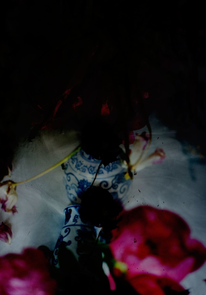 Isabelle Menin, Petites Natures #7